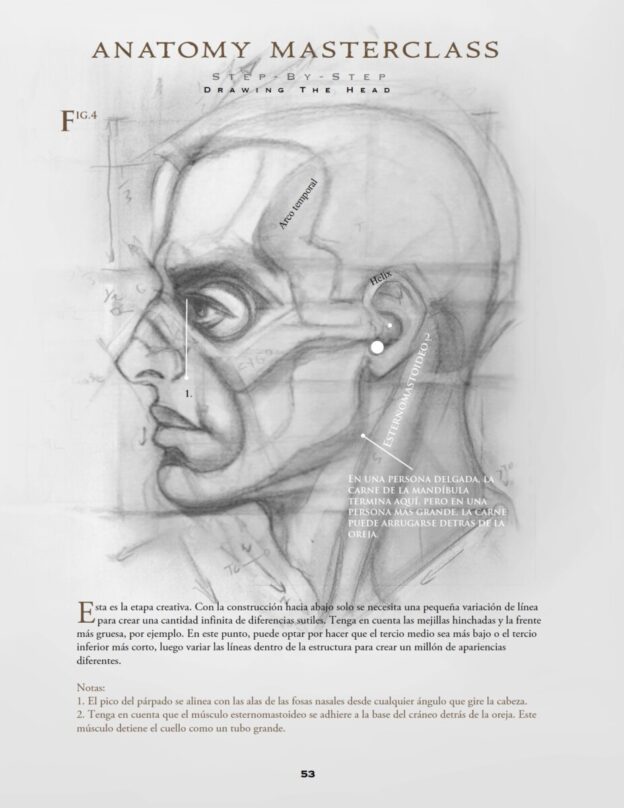 Curso de Dibujo Aprende a dibujar retratos de Cero a Pro + Fundamentos del Dibujo 24