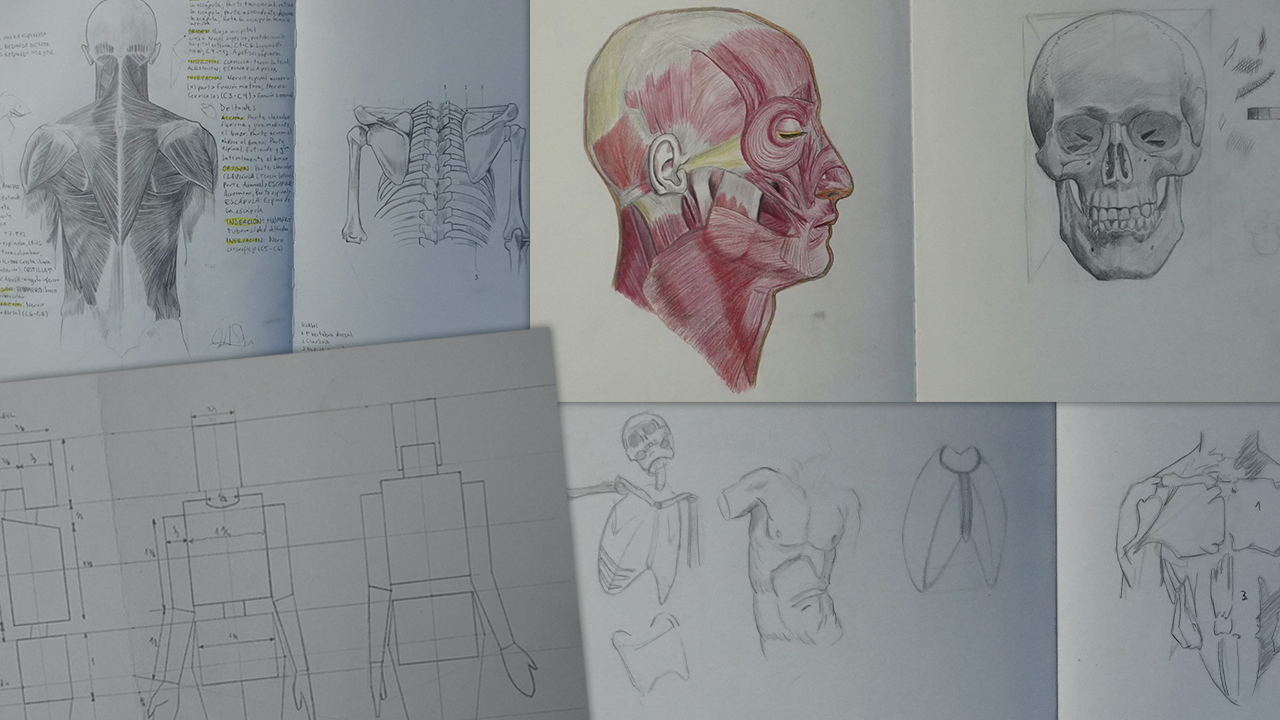Escuela de dibujo de Anatomía Humana para Artistas — Analiza, Diseña y Construye