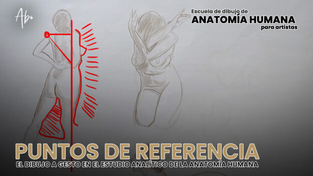 Curso de Dibujo Anatómico Online Para Artistas + 8 Semanas de Mentoría Privada (3 Cuotas) 26