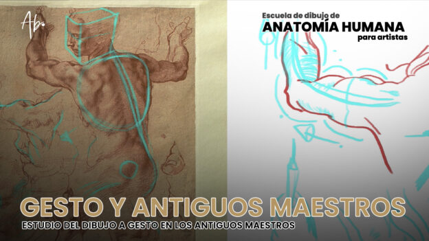 Curso de Dibujo Anatómico Online Para Artistas + 8 Semanas de Mentoría Privada (3 Cuotas) 31