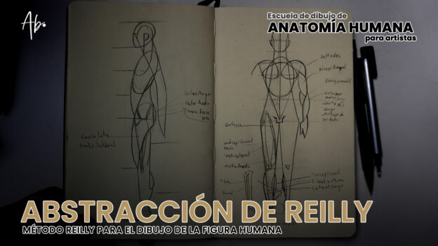 Curso de Dibujo Anatómico Online Para Artistas + 8 Semanas de Mentoría Privada (3 Cuotas) 41