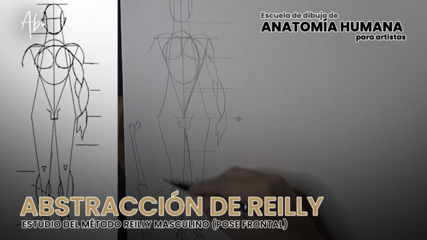 Curso de Dibujo Anatómico Online Para Artistas 33