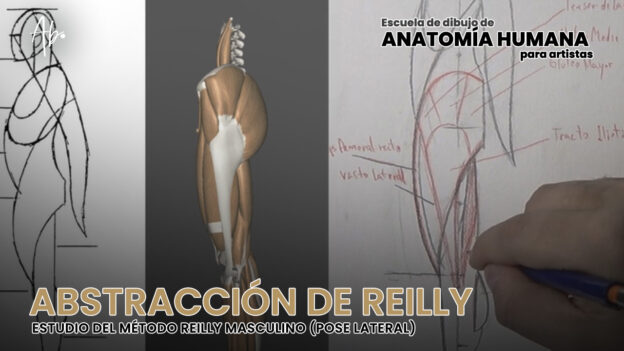 Curso de Dibujo Anatómico Online Para Artistas + 8 Semanas de Mentoría Privada (3 Cuotas) 36
