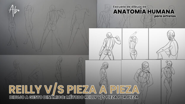 Curso de Dibujo Anatómico Online Para Artistas + 8 Semanas de Mentoría Privada (3 Cuotas) 42