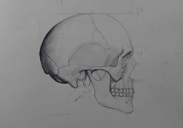 1.3.6. BONUS: Construcción Avanzada del Cráneo vista Lateral 20