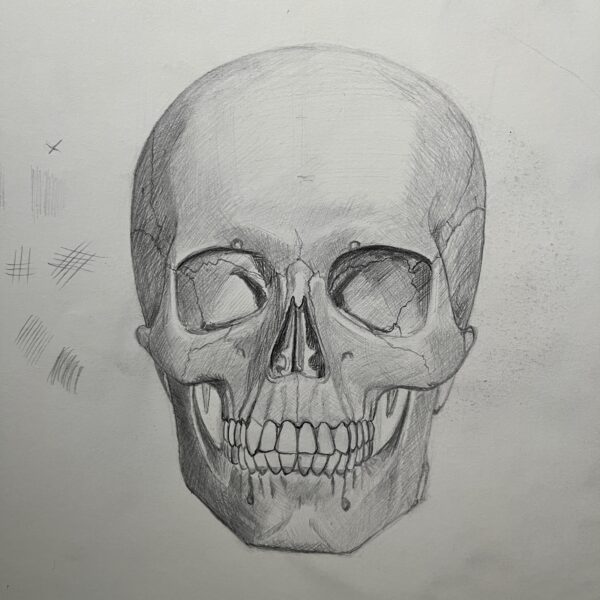 Cómo dibujar la anatomía del Cráneo (Construcción Avanzada) 6