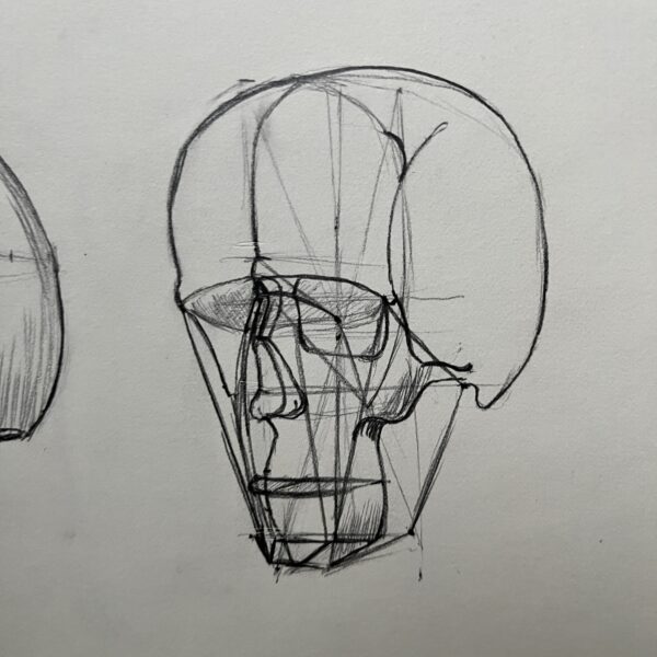 Cómo dibujar la anatomía del Cráneo (Construcción Avanzada) 9