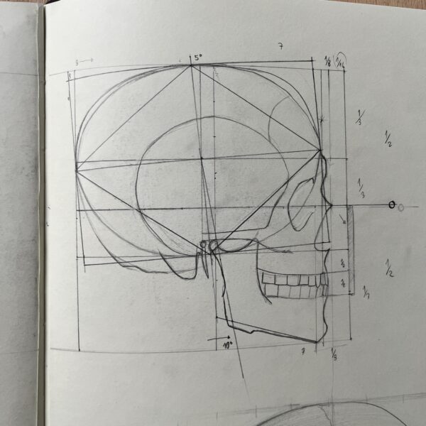 Cómo dibujar la anatomía del Cráneo (Construcción Avanzada) 7