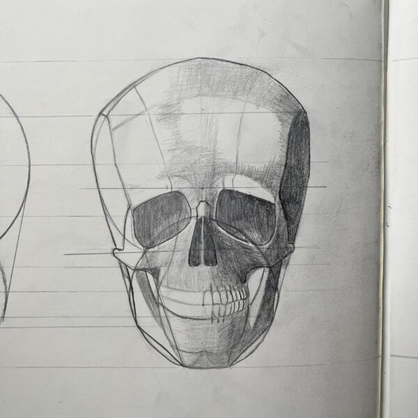Cómo dibujar la anatomía del Cráneo (Construcción Avanzada) 4